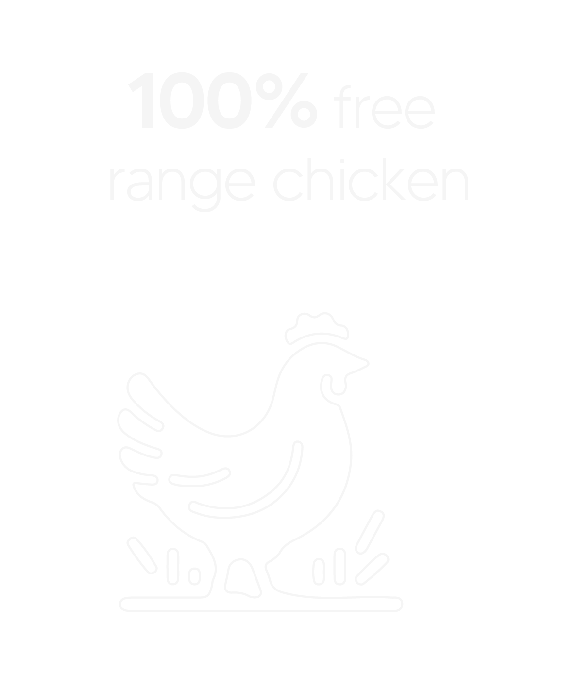best chicken protein bar
